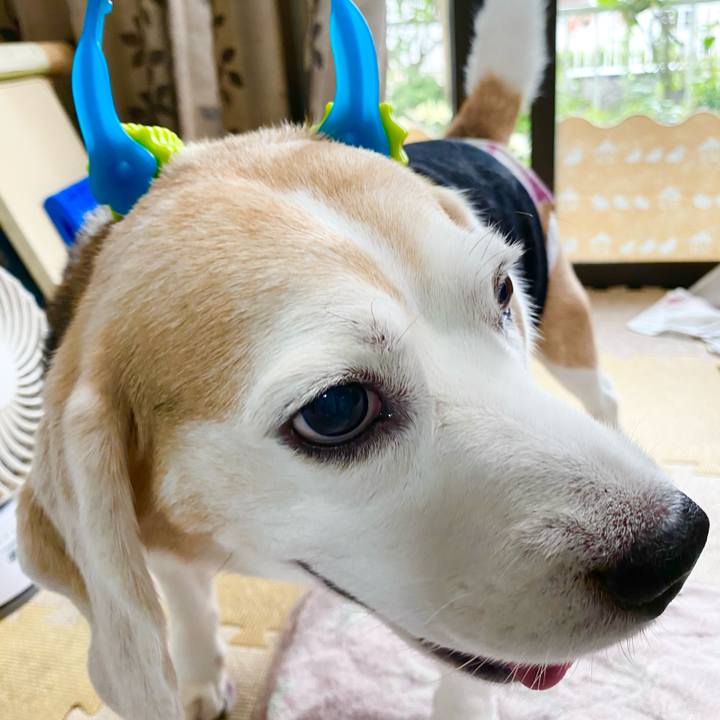 D0953630 5eda 4e4e a995 27716aa86ddf 1600840082187