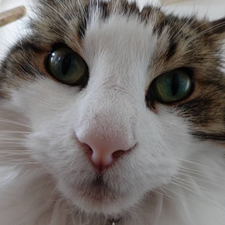 D095463e 3526 4fc4 bb44 3ee5e9fd5a82 1592623134086