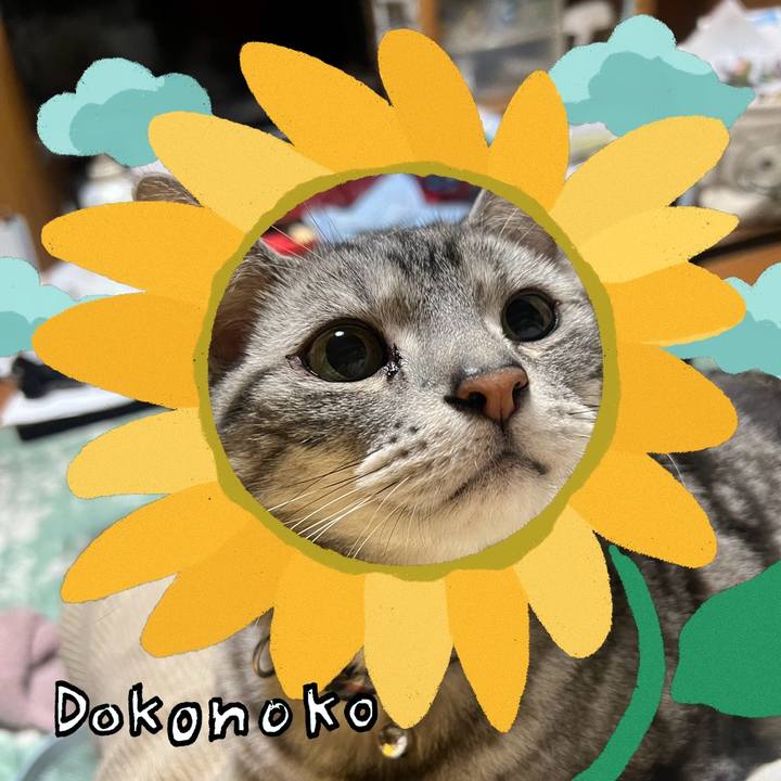 D09549b8 3f40 47b7 87ac 2d721e442de3 1723215492515