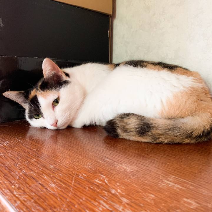 D0961bb3 61f8 4607 8847 3e3171ea65e8 1571016651110