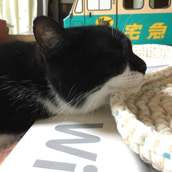 D09650fd 85f0 4d4b bcbf c17ddf827412 1523616536487