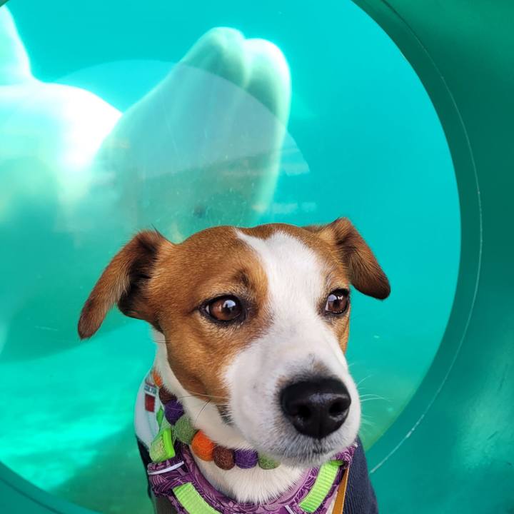 D09678a6 9ff9 4054 8afd 785625372272 1706052174846