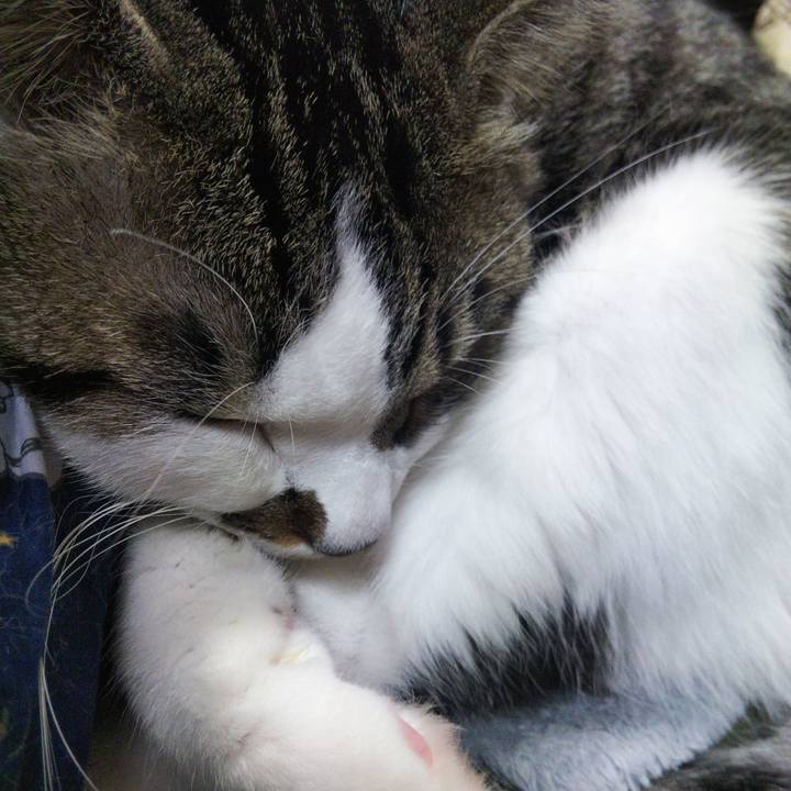 D096aa8c ce99 4f99 9cbe f33b92e17f0d 1652925811895