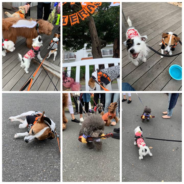 D096bf0e 1fa2 4361 bf61 169c2d078636 1572144899244