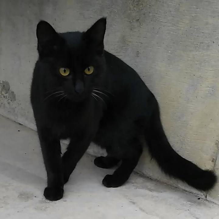 D096f34b 8905 427e 863c 89ef33bb578d 1540301001573