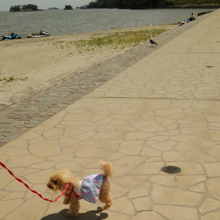 D09701fd faa2 4214 b5a7 b686920e2dcf 1557401484491