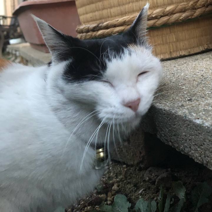 D09735af 0334 44ec bce5 f10bc52eba34 1612563744541