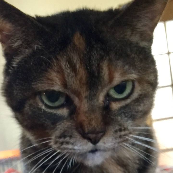 D097438f e79b 4ac3 a3ba 45fb6b8d00d6 1514631046497