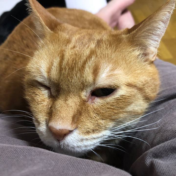 D0975e77 3a62 4434 a600 945044ff839b 1707209554886