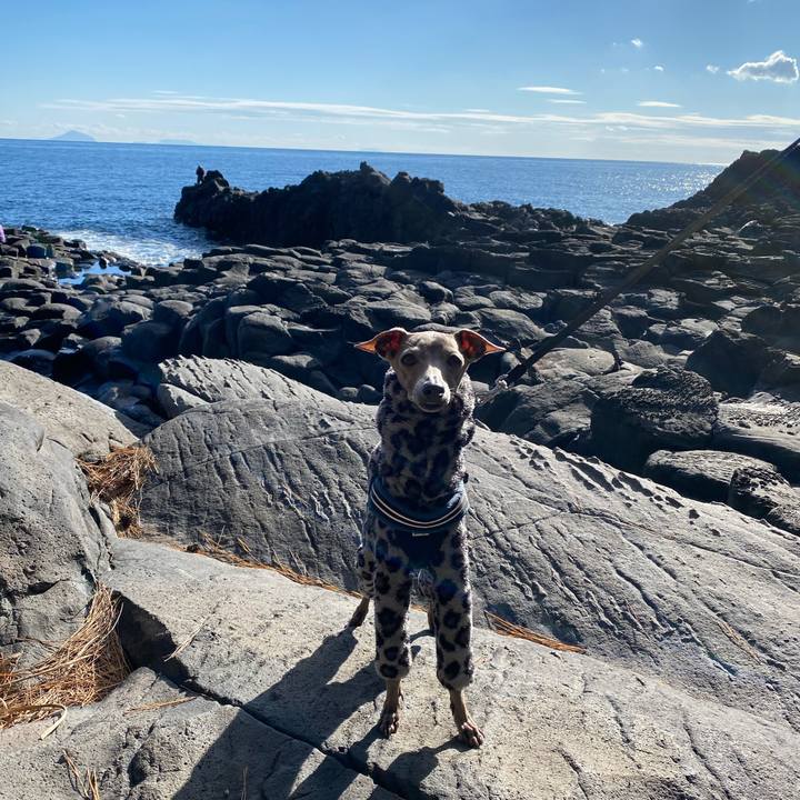 D0976621 b70c 401b b641 c6ffa22baa33 1766985100780