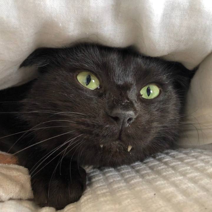 D097d868 65c0 4057 91fd b8259df29a5f 1601173285146