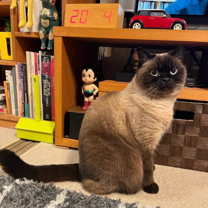 D097e512 3db6 4d8f a98a 74dcc8a7c74e 1674820098750