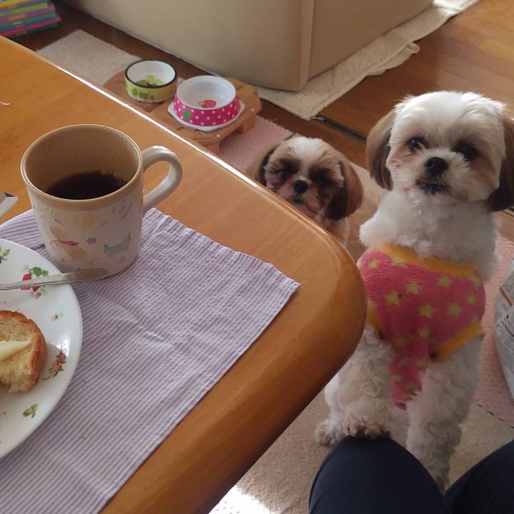 D0980f40 f101 4820 a900 f80af8008635 1576465900839