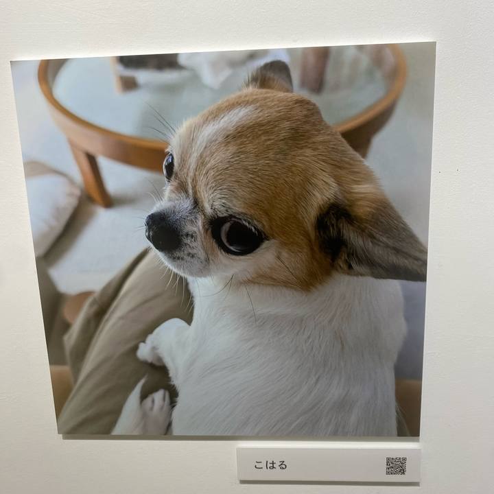 D09830de 4eaa 490d be91 071b8e976c76 1762057693343