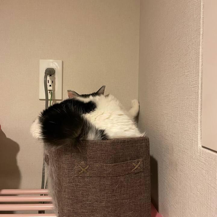 D0985089 de42 489f 9234 ea06d584484b 1743557067132