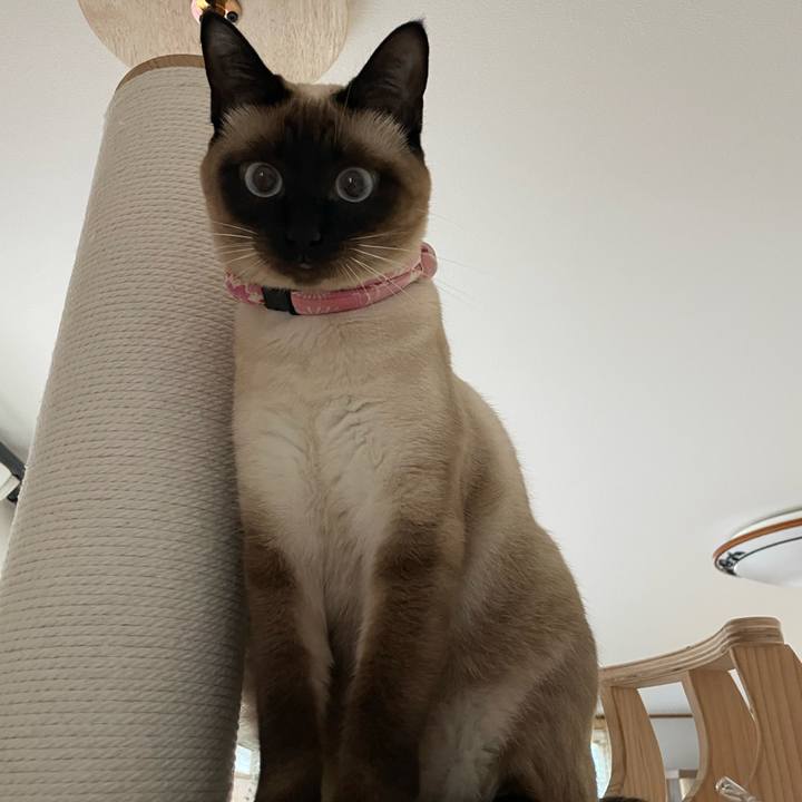 D098574a 32e9 4bfd 997e 8804d91b2df5 1718740348413