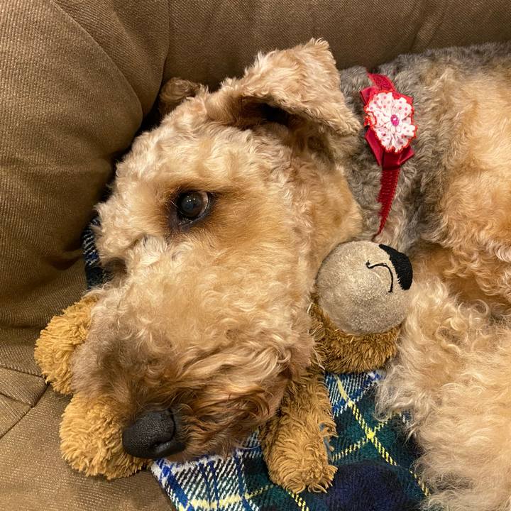 D0986215 169d 4e1b afe5 b9084d8f568d 1634388452654