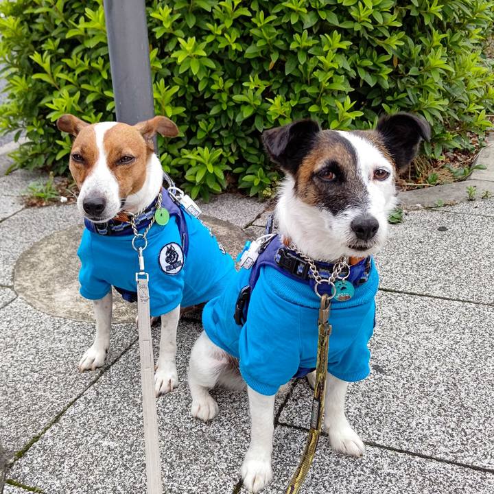 D0988262 19f2 418d 8cd0 4173d3800356 1623017505088