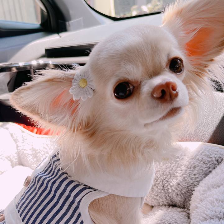 D09899f8 77ab 4c16 abc3 217c3a167a29 1651545510238