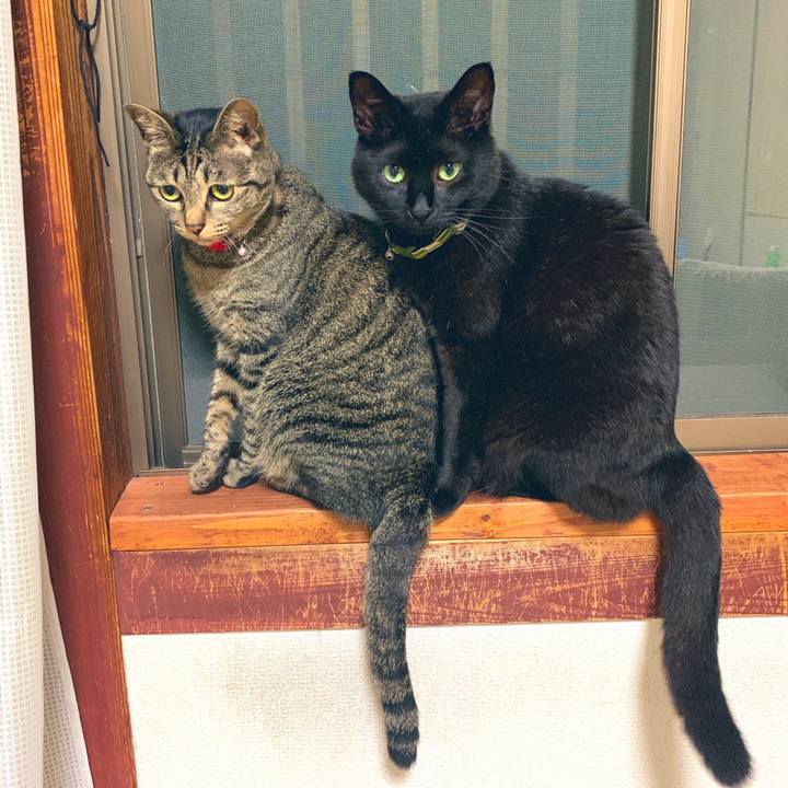 D098a37a 64e0 4e7f 99ab 5a3345259891 1562336334355