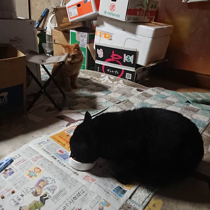 D098aa5e 712f 4d25 992d 9fe3bf9b166a 1646051207352