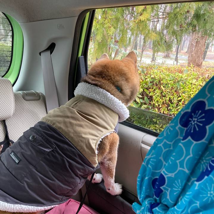 D098ba1c b029 4569 b859 ce03200d5016 1741150892310