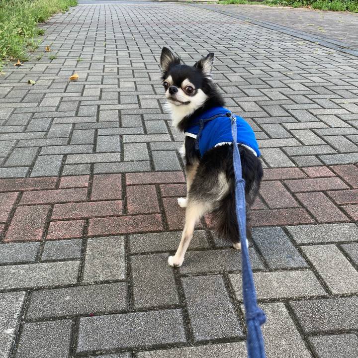 D098cc60 44b0 4ef9 afa5 b5ace4915aa9 1693063989397