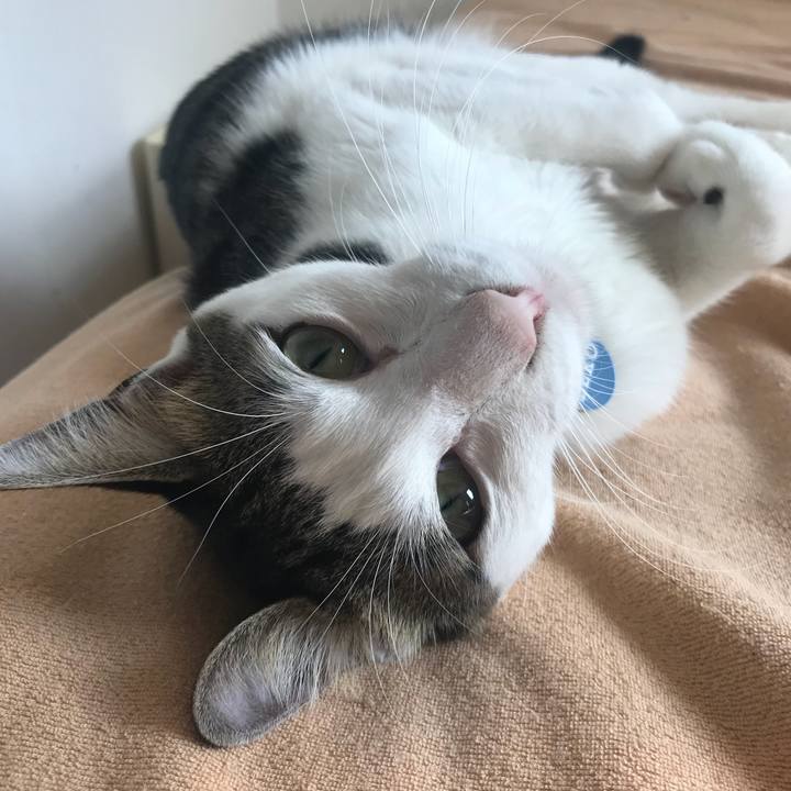 D09913e3 d31b 41ca 9d47 c9e581dbfea5 1540005452779