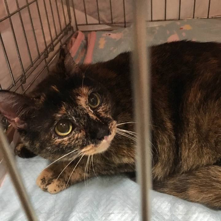 D09961e8 e497 475c 8562 45f0b4615129 1541314449116