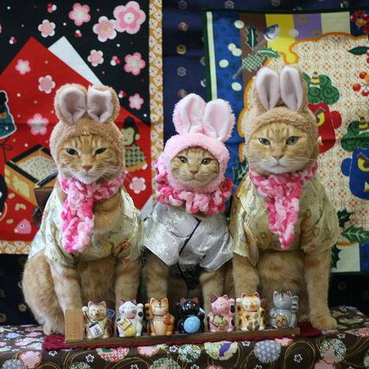 D099ce45 3689 4a9a af79 922c7e4c6920 1549070396632