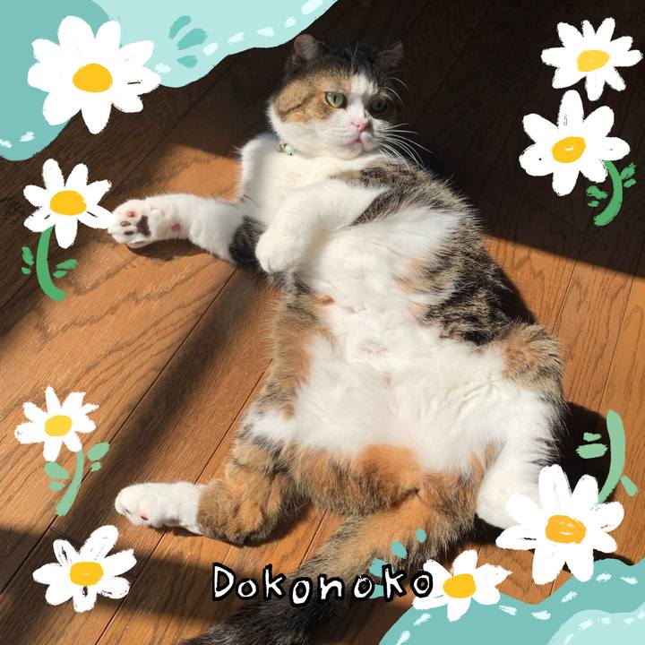 D099ecb0 4c2b 4997 92c0 051b9a7d09cc 1712465666993