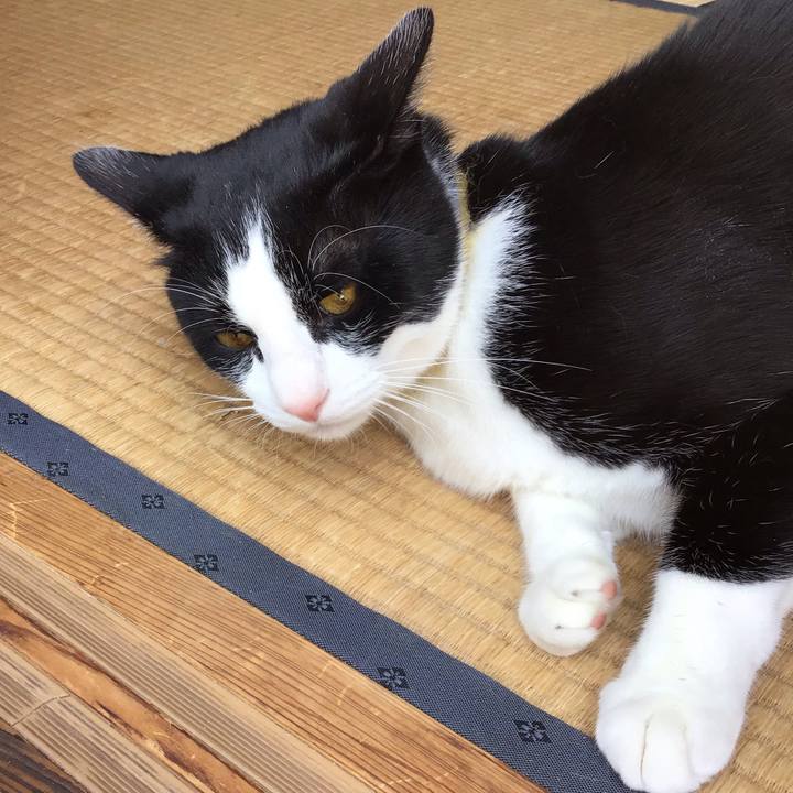 D09a0a5f 62d8 4e13 8237 388ed0c06ffe 1652948746732