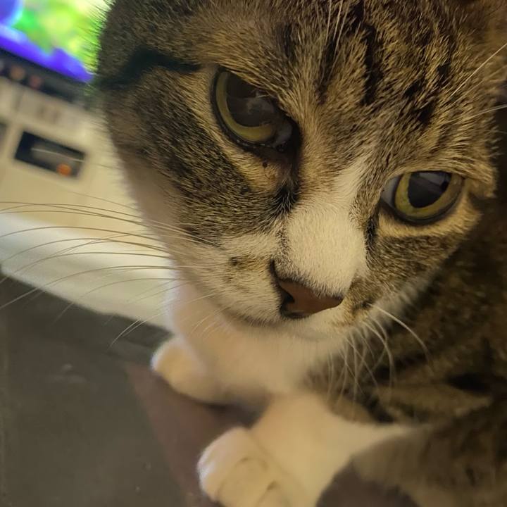 D09a1a52 2ebc 4d80 95b1 a9fa1f07a50c 1658677795263