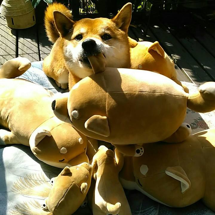 D09a259b 5ca5 4aa0 9241 32f8ddf3cab2 1551749134305