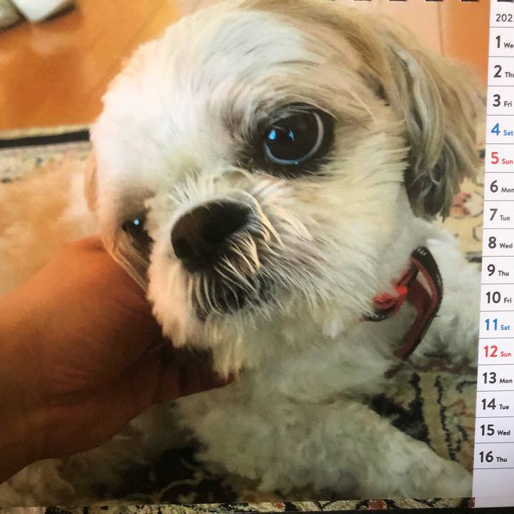 D09a290f da8b 496d b879 ed022c53baf5 1654033137760