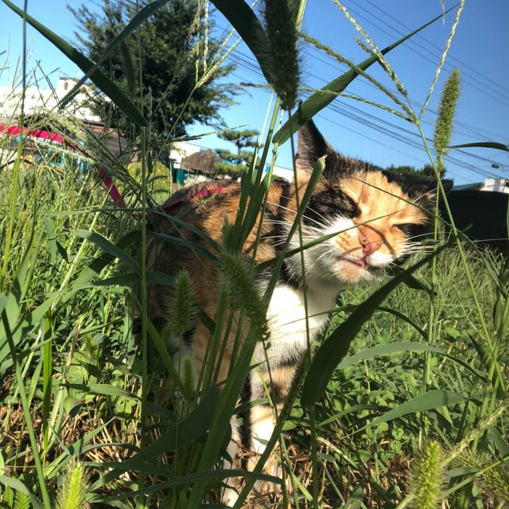 D09a3f08 01a4 47aa a46c fb1413398924 1599603860183