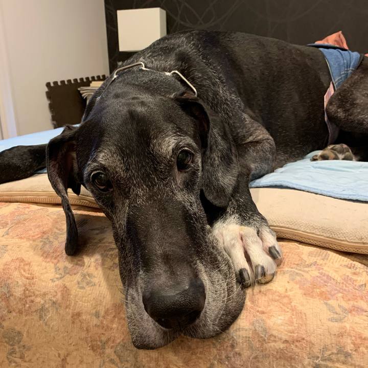 D09a73d9 25e1 4105 8f7e 10a7c0ad312b 1601332268754