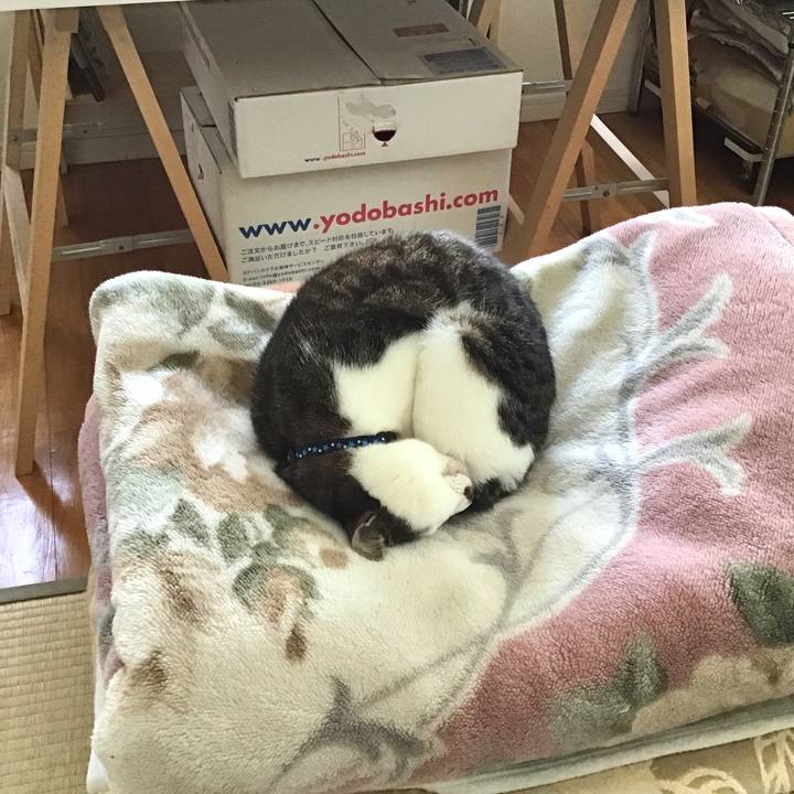 D09af7af 0b66 4aea 8fbc 2812214e23b4 1545914527461