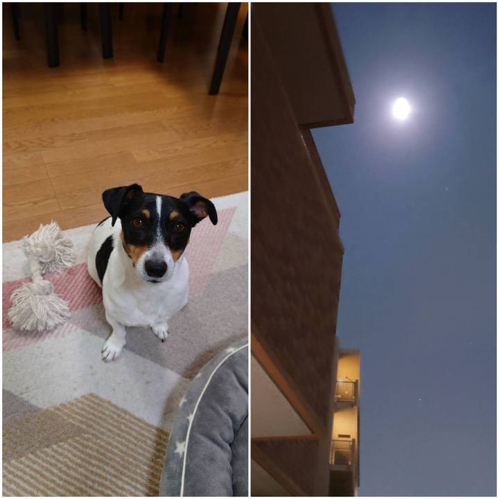 D09b3508 6c2e 43d7 808b 550b79db7335 1701088046348