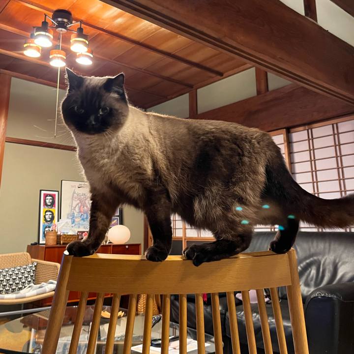 D09b41ed 16d3 4e58 b237 a5052cbe6fb0 1681387285778