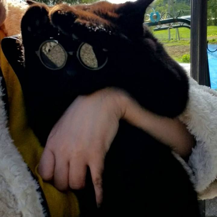 D09b6d7a fc26 464e 8e97 d2076315016f 1684854550254