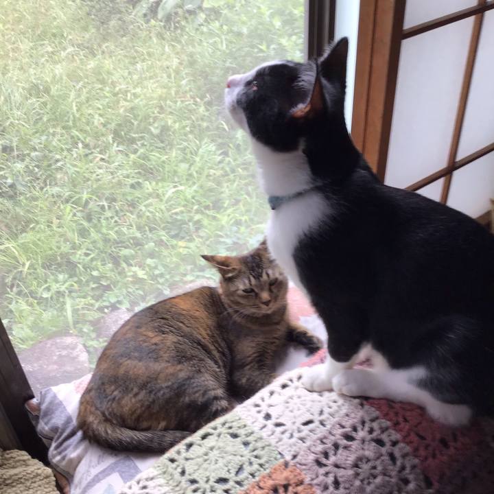 D09b7bfc 2b67 4a02 8eeb d80cef71e670 1632276807810