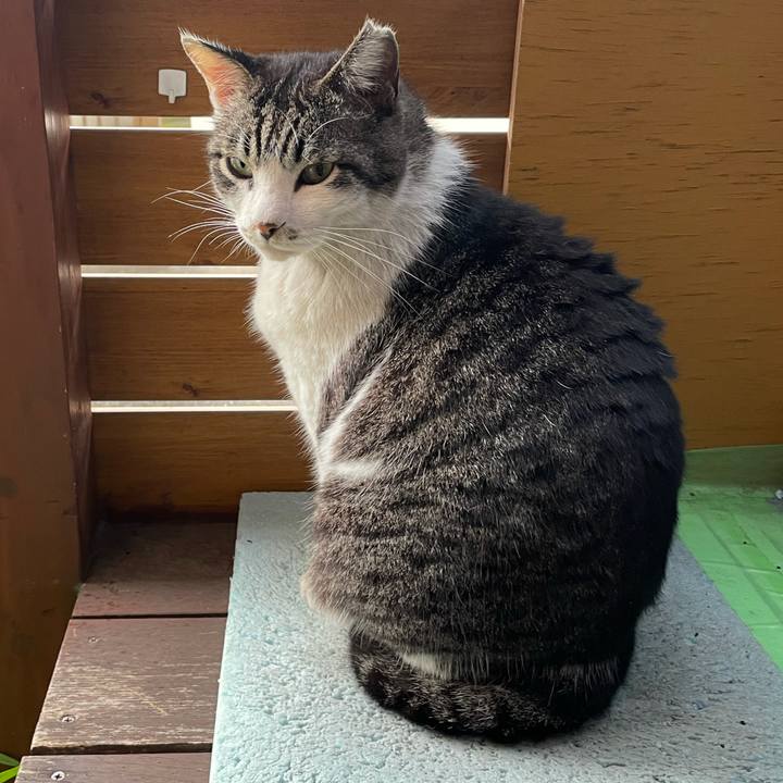 D09ba8b9 430a 46c5 9b7e 13555ae7ceda 1619659267782