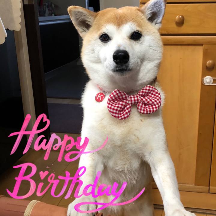 D09bde12 d48d 4946 ad09 bf37488f684a 1620172611232