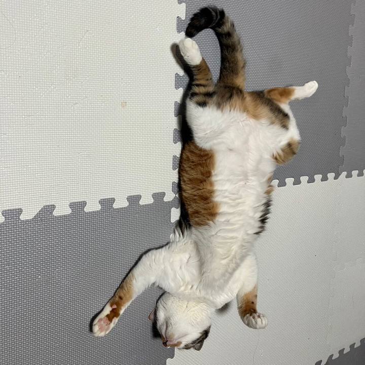 D09be786 da28 4423 8ae7 03569f93d912 1692014902294