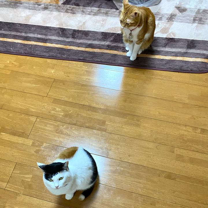 D09bec3b 705f 4247 9873 c56d34549b95 1701769588528