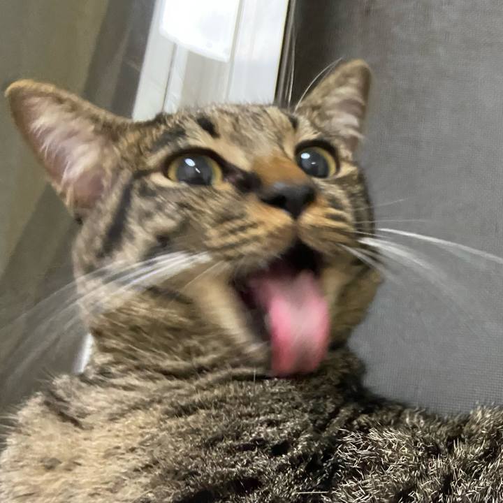 D09c2587 9393 49c9 9372 c7d4378d18b7 1630408072835