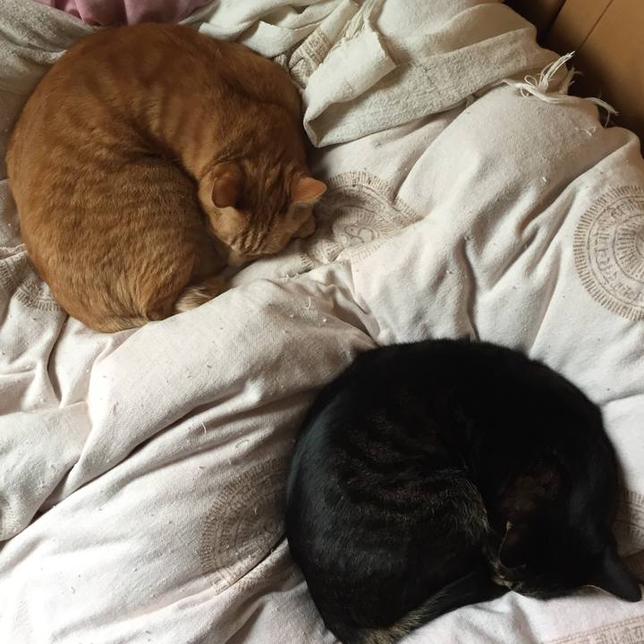 D09c709d a09d 4ba5 9c84 e9a5c31ea764 1520896370401