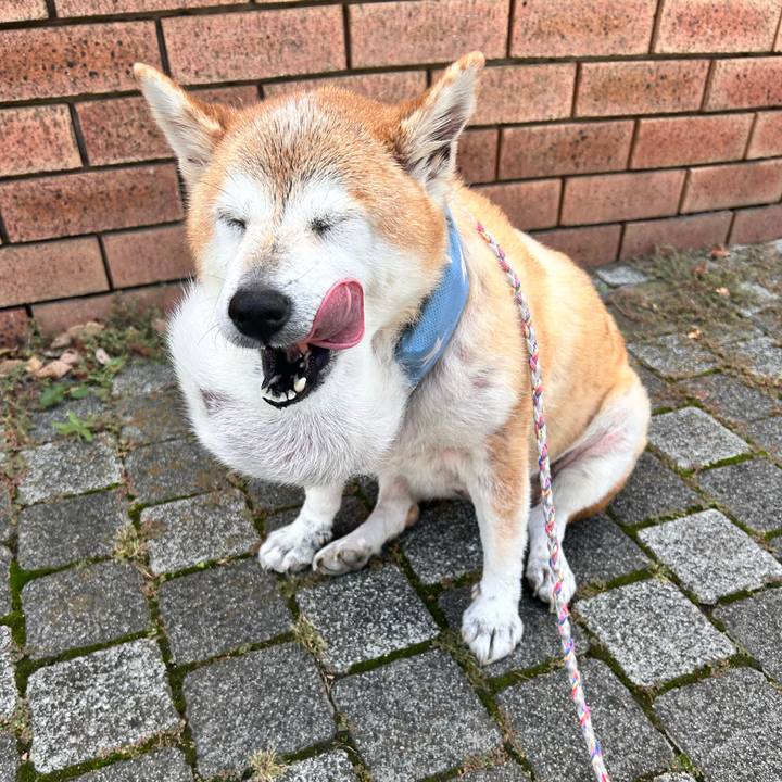 D09c81c5 0dea 4a43 a44e 756d2d37fdd2 1759894832743