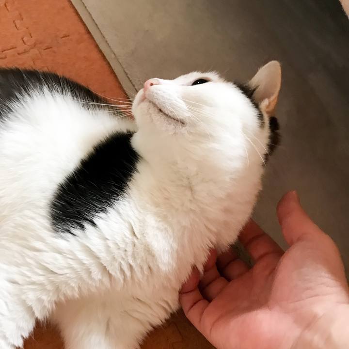 D09ca3e9 f336 4042 90c3 fcd5ab6a0778 1527814439023